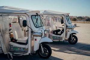 Porto : Visite touristique privée en tuk tuk électrique