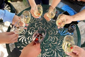 Порту: Пешеходная экскурсия 'Дегустация вин с тапас