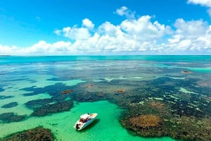 Praia de Paripueira Beach Day Tour