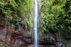 Rabaçal: 25 Fontes & Risco Levada Transfer Self-guided Hike