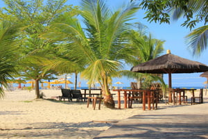 Salvador: Morro de São Paulo Island Transfer Service