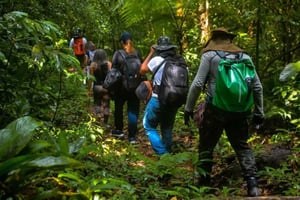 Santos: Vesiputousvaellus ja veneretki sademetsässä