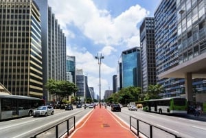 São Paulo : Visite guidée des points forts de la ville
