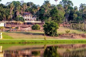 Tour door een koffieboerderij: Ontdek de smaken van het platteland