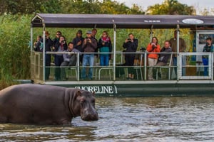 Lucia: Krydstogt med flodheste og krokodiller på et fartøj med 15 pladser