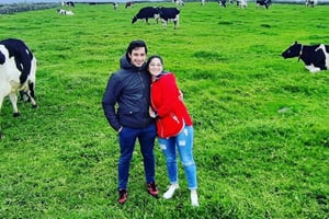 Terceira Island: Heldagstur i van