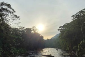 Trekking i Atlanterhavsskoven med vandfald - THE GOLDEN WAY