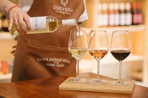 Vila Nova de Gaia: Scoperta del Douro