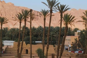 Al-'Ula : découvrez Al-'Ula comme un habitant, visite guidée