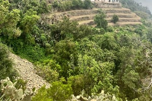 Desde Abha: aventura de senderismo de 6 horas por las montañas Sawda