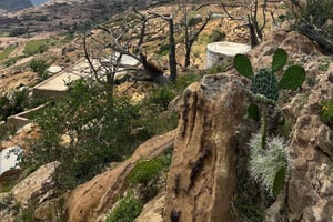 Desde Alreeth: excursión a la montaña negra y la plantación de café.
