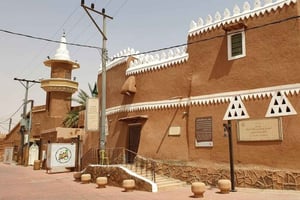 Vanuit Riyad: Shagra & Ushaiger Village Tour