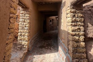 Vanuit Riyad: dagtrip naar het erfgoeddorp Ushaiqer