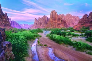 Dagsutflykt En tur genom Wadi Al Disa