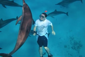 Hurghada: lancha, golfinhos, mergulho com snorkel e 2 ilhas