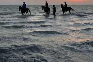 Djeddah : balade à cheval guidée