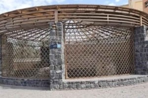 Медина: экскурсия по достопримечательностям Сееры с гидом и трансфером