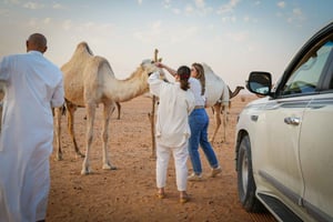 Riyad: Bezoek aan een kamelenboerderij in het hart van de woestijn