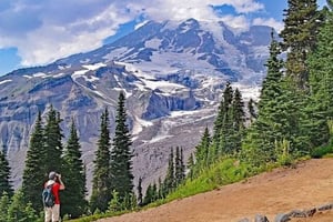 Från Seattle: Dagsutflykt till Mt Rainier National Park