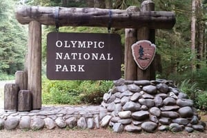 Fra Seattle: Olympic National Park heldagstur