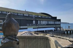 Seattle: Inträdesbiljett till akvariet och digital stadstur