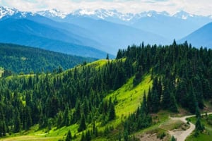 Небольшая группа: однодневная экскурсия в Олимпийский национальный парк из Сиэтла