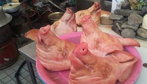 6つの大胆な韓国料理