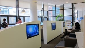 Dream Plastic Surgery