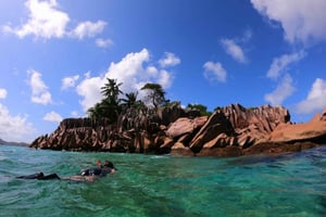 Курьёз и Сен-Пьер: экскурсия на полдня (без обеда-барбекю)