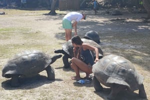 Curieuse Guided Tour, St Pierre, BBQ & 2 Snorkel Stops