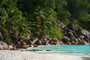 Seychelles: St Pierre and Curieuse Catamaran Tour with Lunch