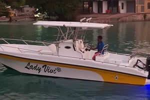 Praslin: crucero de día completo a las islas Sister y Coco y barbacoa criolla