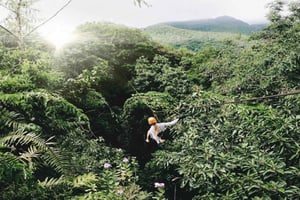 パラダイスへの脱出：セーシェルの季節体験
