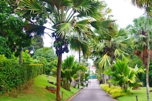 Mahé: Private Customizable Full-Day Tour with Hotel Pickup