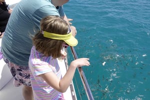 Mahe: Safari por los arrecifes del Parque Nacional Marino de Santa Ana con almuerzo