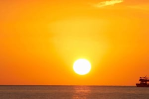 Пляжная авантюра на Норт-Шор