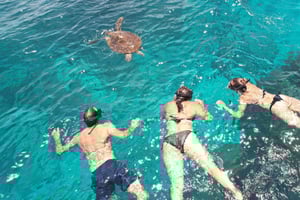 Private Charter Curieuse St Pierre, Sister, Coco, Felicity.