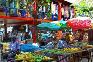 Victoria: Visita guiada de la ciudad y entrada al Jardín Botánico