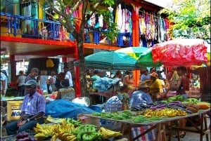 ビクトリア：ガイド付きシティ ツアーと植物園への入場