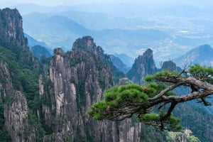 Da Shanghai: gita di 1 giorno privata a Huangshan in treno ad alta velocità