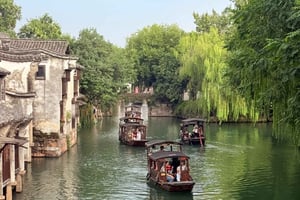 Da Shanghai: tour privato di 1 giorno all'antica città sull'acqua di Wuzhen