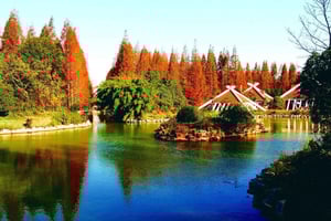 Отдых на природе в Шанхае: посещение парка Дунпин для 2 человек