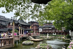 Lyaover privato: In giro per Shanghai con una Tesla