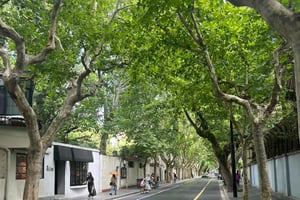 上海：フランス租界ジョギング＆ウォーキングツアー