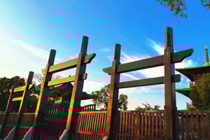 Scopri i siti storici di Shanghai e ammira splendide viste notturne