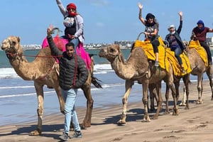 1-дневная экскурсия в Касабланку и Мохаммадиа. Марокканский обед и прогулка на верблюдах
