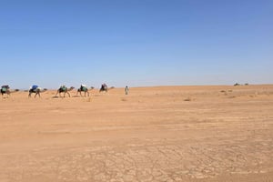 3-dagers ørkenopplevelse fra M'hamid til Erg Chegaga