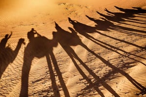 Agadir: Camels The Desert 4x4 Trek Scenic Trails City Escape