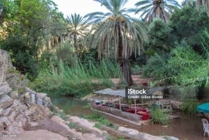 Agadir/Taghazout : Paradise Valley & Sandboarding with Lunch