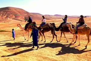 Atlas mountains and Berber villages & waterfall & camel ride